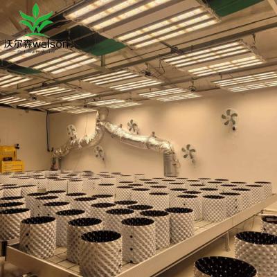 Cina Vegetable Fruit Flower Growing Greenhouse Rolling Bench Ebb and Flow Propagation Table for Hydroponic Plants Growing in vendita