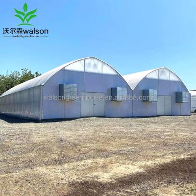 China Grasses Gutter Connect Blackout Greenhouse Automated Interior Light Deprivation Greenhouse for sale