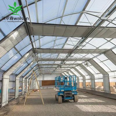 China Herbs Blackout Curtain Light Deprivation Greenhouse For Sale for sale