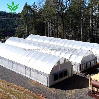 China Agricultural Herbs Herbs Planting Light Deprivation Greenhouse With Blackout System for sale