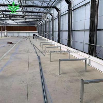 China Internal Lightweight Herbs China Climate Control Deprivation Greenhouse for sale