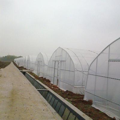 China Agriculture Single Span Reinforced Plastic Film Tunnel Greenhouse For Horticultural Agriculture for sale