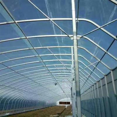 China Plastic Agriculture Clear Single-span Double-Layer Film Greenhouse With Low Price for sale