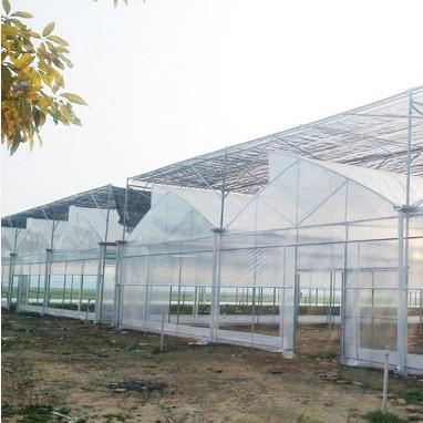 China Low Cost Sawtooth Roof Vent Greenhouse Reinforced Plastic Greenhouse For Nursery for sale