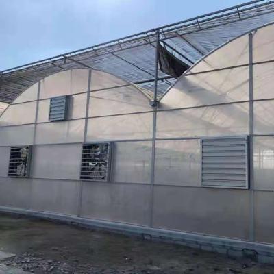 China PE Greenhouse Agriculture Transparent Film Multi Span Greenhouse for sale