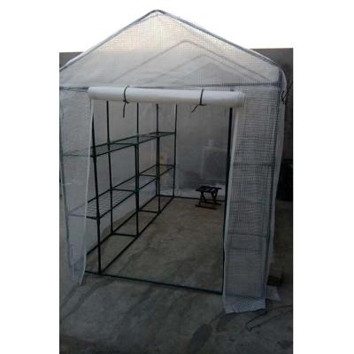 China Agriculture Hydroponic Mini Glass Greenhouse Tomato for sale