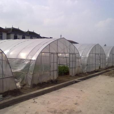 China High Quality And Super Single Span Stop PE Greenhouse for sale