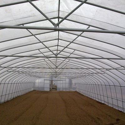 China High Quality And Low Cost Single Span Cast Iron PE Greenhouse for sale