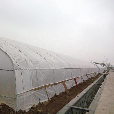 China High Quality And Superb PE Printed Circuit Board Single Span Greenhouse for sale