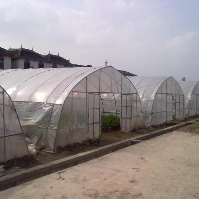 中国 Agriculture Long Service Life, Good Sunlight, Cheap Single-span Greenhouse Solid Frame 販売のため