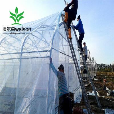 Cina Agriculture greenhouse manufacturers sell tunnel greenhouse with hydroponics in vendita