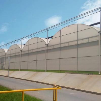 China Agriculture Factory High Quality Stable Multi-span Plastic Coated Aluminum Greenhouse for sale