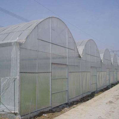 China Efficient And Portable Aluminum Multi Span PE Greenhouse for sale