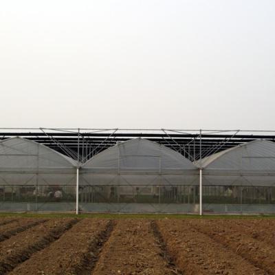 China Convenient PE And Super Stable Structure Multi Span Greenhouse for sale