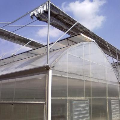 China 5090 Agricultural Greenhouse Greenhouse Protective Equipment Poultry Air Cooler Evaporative Cooling Pad for sale