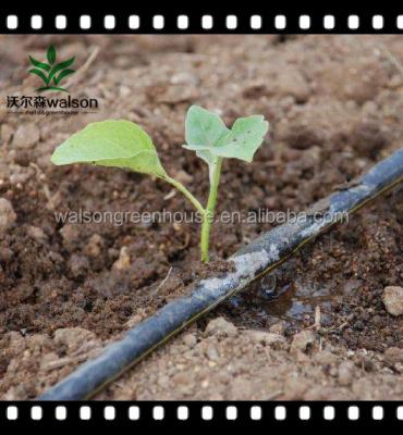 中国 Water Saving Automatic Electric Polytunnel Greenhouse Drip Irrigation System Manual Computer Control For Plant Pot 販売のため