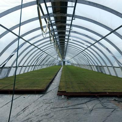 中国 Water Saving Polytunnel Water Sprinkler Garden Drip Irrigation Agricultural System 販売のため