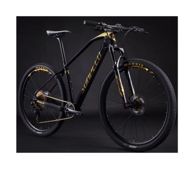 China 2019 new mountain bike bicicletas MTB carbon mountain bike for sale