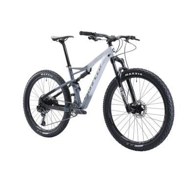 China SUNPEED CHEF Newest High Quality 29inch Luxury Carbon Fiber Mountain Bike for sale