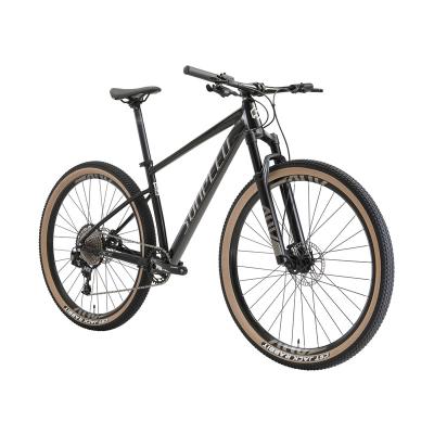 China Aluminum Alloy Off-Road Variable Speed ​​Boutique Bikes AC - E Complete Aluminum Mountain Bike for sale