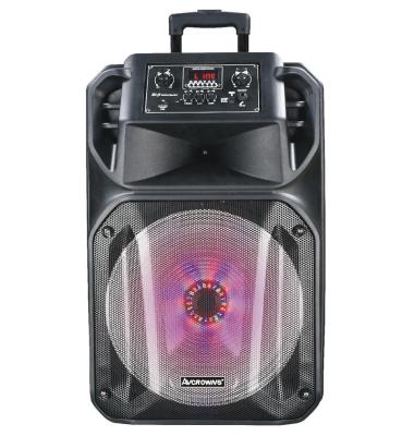 China Wireless Professional 15INCH HIGH FIDELITY Speaker with Trolley USB/TF card/FM radio/TWS functions for sale