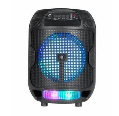 China No Portable Speaker 6.5 Inch Karaoke Wireless Entertainment Professional for sale