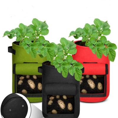 China Fashional Plant Bags Manufacturer Makes Breathable Planter Felt Garden Planter, Planter Bag For Home Vertical Plant Pot for sale