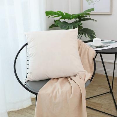 China Anti-Static Cushion Cover Velvet Fabric Cushion Pillow Covers Home Decor for sale