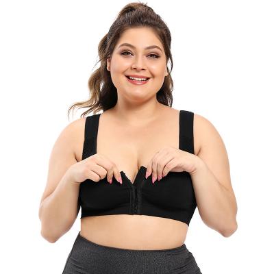 China Antibacterial Women Plus Size Compression Workout Wireless Comfortable Yoga Sports Bra for sale