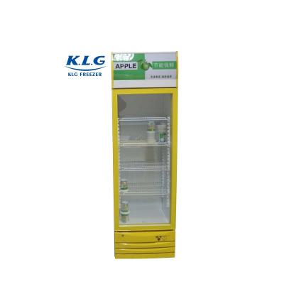 China 278L Household Single Temperature Upright Display Freezer With Single Glass Doors for sale