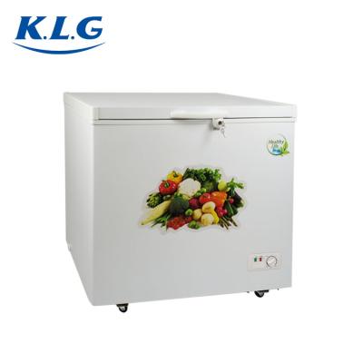 China BD-238 Outdoor Single Door Freezer Top Foaming Freezer With Lock And Double Door Main Freezer for sale