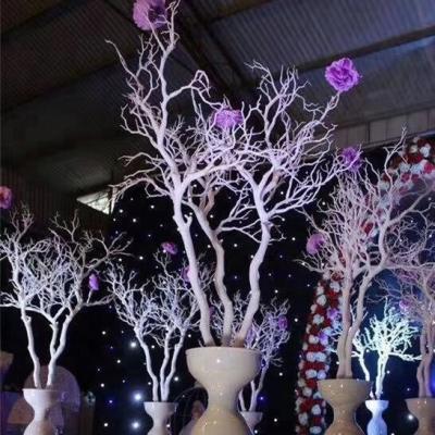 China Coral Branch Home Party Decoration Wedding Artificial Plant Props for sale