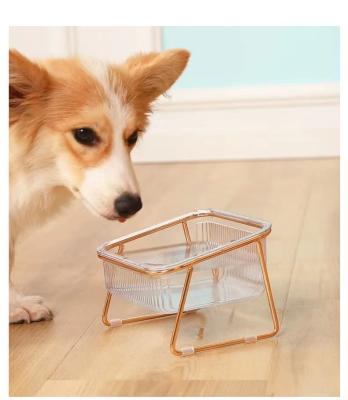 China NO-SLIP Custom Made Transparent Diagonal Iron Sleeve Cat Dog Water Food Bowl Neck Guard Transparent Gold With Double High Stand Pet Feeding Bowl for sale