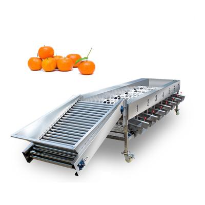 China High Efficiency Easy Operate Fruit Sorter Grading Berry Grading Machine for sale