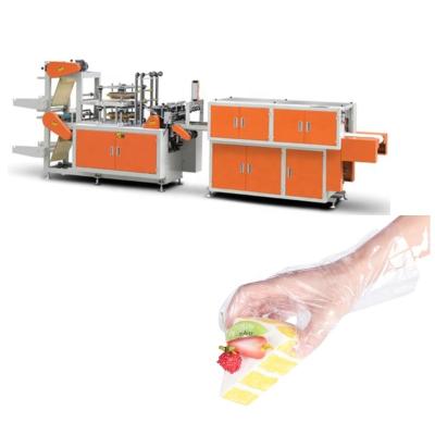 China Hotels Plastic Glove Machine Plastic Gloves Machine Automatic Plastic Glove Making Machine for sale