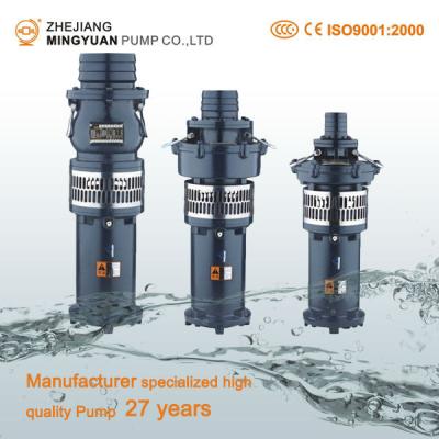 China Submersible Electric Agricultural Water Pump Irrigation Pump for sale