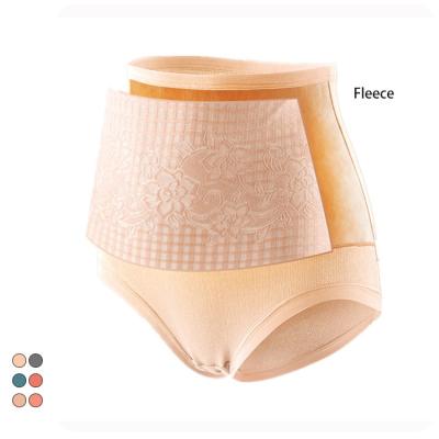 China Wholesale Antibacterial Cotton Fleece Women's Menstrual Period Control Briefs Panties 100% Breathable Underwear for sale