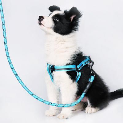 China High Quality Quick Release Dog Collar And Leash Set Pull Pet Leash Strong Strong Pet Arms Leashes for sale