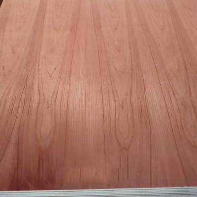 China Modern Custommelamine wooden panel hardwood fancy plywood for sale