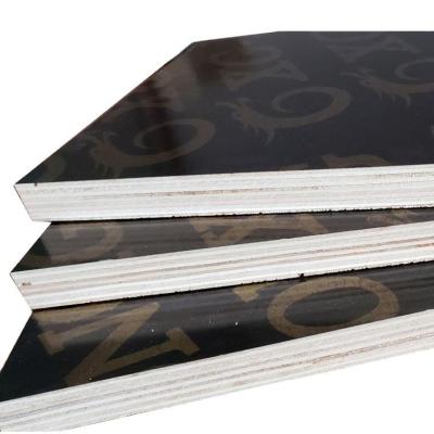 China Modern High premium quality circle film face plywood for sale