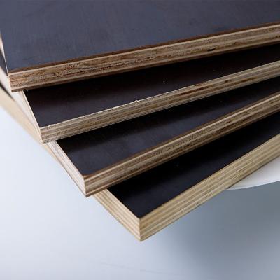 China Modern Black/brown Film Faced Plywood Sheet Contrachapado Phenolic Board With Good Quality for sale