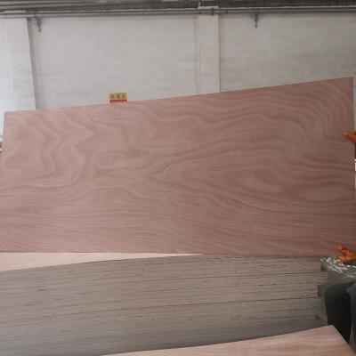 China Modern Door Plywood  Decorative Natural Wood Melamine Faced Door Skin Plywood for sale