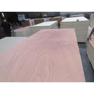 China Modern Factory price sapele fancy veneer plywood faced for sale