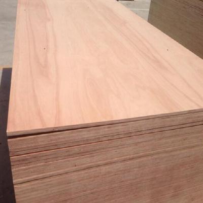 China Modern Hot selling Factory price sapele fancy veneer plywood faced for sale