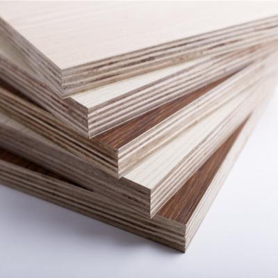 China Modern Best price Okoume commercial hardwood plywood for sale