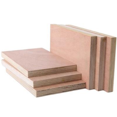 China Modern EV poplar commercial veneer plywood board for decoration for sale