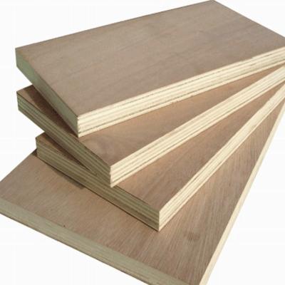 China Modern Top Sale Furniture Grade Bintangor faced plywood for sale