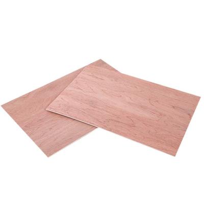 China Modern HIGH QUALITY Commercial Plywood Bintangor   Faced Plywood for sale