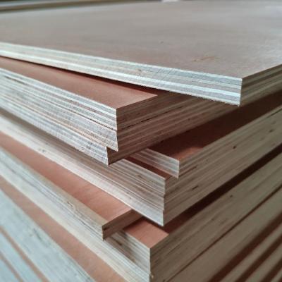 China Modern Hot Sale Plywood Panels for Construction Furniture Packing  Bintangor  Poplar Plywood Sheet for sale