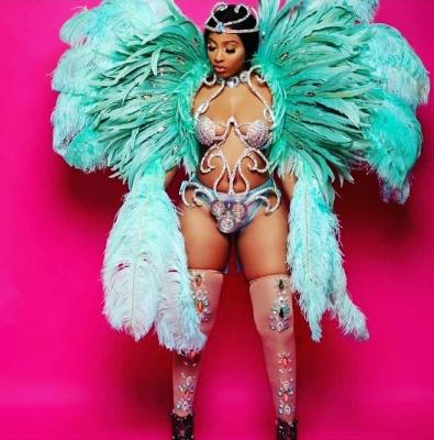 China Crazy Costumes Miami Carnival Peacook Costume Customized Carnival Costume for sale